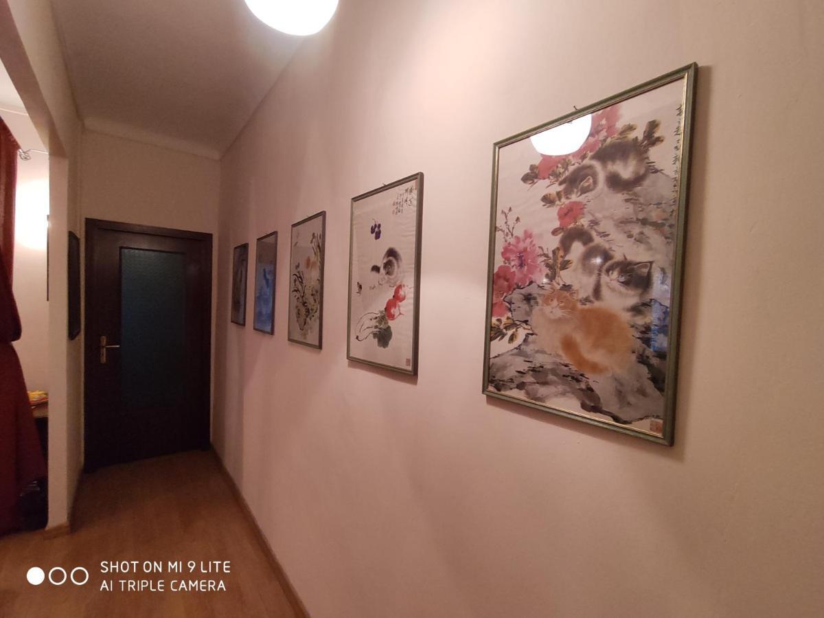 Apartament Ex Ostu Impero: Vino, Tartufo Ed Ospitalita La Morra Zewnętrze zdjęcie